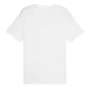 Camisola de Manga Curta Homem Puma Graphics Wording de Puma, Homem - Ref: S64139502, Preço: 18,28 €, Desconto: %