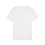 Camiseta de Manga Corta Hombre Puma GRAPHICS Mountain Blanco de Puma, Hombre - Ref: S64139509, Precio: 22,42 €, Descuento: %