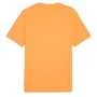 Camiseta de Manga Corta Hombre Puma Graphics Mountain e Clementine Naranja de Puma, Hombre - Ref: S64139517, Precio: 23,68 €,...