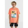 Camisola de Manga Curta Homem O'Neill Jack Neon Living Laranja de O'Neill, Homem - Ref: S64139576, Preço: 24,89 €, Desconto: %