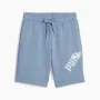 Short de Sport Puma POWER Graphic Zen Bleu de Puma, Homme - Réf : S64139609, Prix : 35,07 €, Remise : %