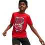 Kurzarm-T-Shirt für Kinder Puma Basketball von Puma, Junge - Ref: S64141580, Preis: 23,07 €, Rabatt: %