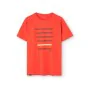 Camiseta de Manga Corta Hombre Astore Maxi Naranja Oscuro de Astore, Hombre - Ref: S64143857, Precio: 23,00 €, Descuento: %