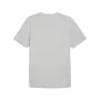 Camiseta de Manga Corta Hombre Puma GRAPHICS Gris de Puma, Hombre - Ref: S64143861, Precio: 23,07 €, Descuento: %