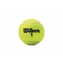 Balles de Tennis Wilson Championship XD (3 pcs) de Wilson, Balles - Réf : S6450894, Prix : 7,54 €, Remise : %