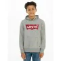 Polar sem Capuz Homem Levi's Batwing Screenprint Cinzento de Levi's, Homem - Ref: S6465925, Preço: 47,64 €, Desconto: %