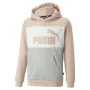 Camisola Infantil Puma Rosa Claro de Puma, Menino - Ref: S6466008, Preço: 33,38 €, Desconto: %