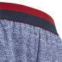 Sport Shorts for Kids Adidas FC Bayern München Football Blue by Adidas, Boys - Ref: S6466233, Price: 23,33 €, Discount: %