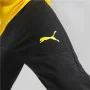 Pantalón de Entrenamiento de Fútbol para Adultos Puma Borussia Dortmund Negro Fútbol Hombre de Puma, Hombre - Ref: S6466239, ...