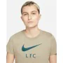 Camisola de Manga Curta Mulher Nike Liverpool FC Castanho de Nike, Mulher - Ref: S6468258, Preço: 25,36 €, Desconto: %