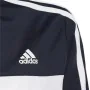 Children’s Tracksuit Adidas Essentials Boys Legend Ink Black by Adidas, Boys - Ref: S6470076, Price: 47,61 €, Discount: %