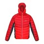 Casaco de Desporto para Homem Regatta Harrock Vermelho de Regatta, Roupa de abrigo - Ref: S6470381, Preço: 73,25 €, Desconto: %