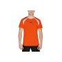 Men’s Short Sleeve T-Shirt Puma Team Liga Padel Orange by Puma, Men - Ref: S6471987, Price: 18,28 €, Discount: %