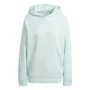 Sweat à capuche femme Adidas All Szn Fleece Bleu de Adidas, Femme - Réf : S6486518, Prix : 58,69 €, Remise : %