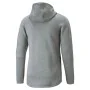 Herren Sweater mit Kapuze Puma Evostripe Grau von Puma, Herren - Ref: S6486552, Preis: 59,37 €, Rabatt: %