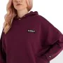 Sweat à capuche femme Ellesse Semprevisa Vert Aubergine de Ellesse, Femme - Réf : S6489906, Prix : 73,01 €, Remise : %