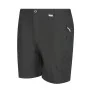 Herren-Sportshorts Regatta Schwarz von Regatta, Herren - Ref: S6496219, Preis: 43,40 €, Rabatt: %