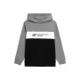 Sudadera Infantil 4F JBLM003 Gris de 4F, Niño - Ref: S6496580, Precio: 21,22 €, Descuento: %