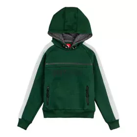 Sweat à capuche homme Alphaventure Noky Vert foncé de Alphaventure, Homme - Réf : S6496929, Prix : 23,80 €, Remise : %