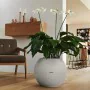 Self-watering flowerpot Lechuza Grey Sphere by Lechuza, Flower Pots - Ref: S71000354, Price: 108,51 €, Discount: %