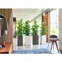 Self-watering flowerpot Lechuza Silver 40 x 40 x 76 cm Plastic by Lechuza, Flower Pots - Ref: S71000359, Price: 170,48 €, Dis...