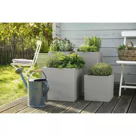 Plant pot Lechuza 40 x 40 x 40 cm Grey polypropylene Plastic by Lechuza, Flower Pots - Ref: S71000361, Price: 117,95 €, Disco...