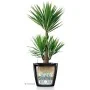 Self-watering flowerpot Lechuza Red Ø 60,0 x 55,5 cm by Lechuza, Flower Pots - Ref: S71000366, Price: 156,57 €, Discount: %