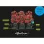 Pot auto-arrosant Lechuza Noir 100 x 32,5 x 34,5 cm Rectangulaire de Lechuza, Pots de fleurs - Réf : S71000368, Prix : 153,42...