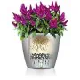 Pot auto-arrosant Lechuza Anthracite Ø 50 x 47 cm Plastique de Lechuza, Pots de fleurs - Réf : S71000384, Prix : 126,08 €, Re...