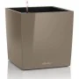 Self-watering flowerpot Lechuza Brown 50 x 50 cm polypropylene Plastic by Lechuza, Flower Pots - Ref: S71000394, Price: 193,3...