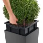 Pot auto-arrosant Lechuza Anthracite 39,5 x 39,5 x 75,5 cm polypropylène Plastique de Lechuza, Pots de fleurs - Réf : S710003...