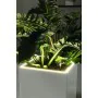 Plant pot Lechuza 40 x 40 x 76 cm Silver (1 Unit) by Lechuza, Flower Pots - Ref: S71000548, Price: 315,96 €, Discount: %