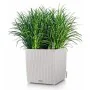 Maceta Lechuza 50 x 50 cm de Lechuza, Macetas para flores - Ref: S71000556, Precio: 138,79 €, Descuento: %