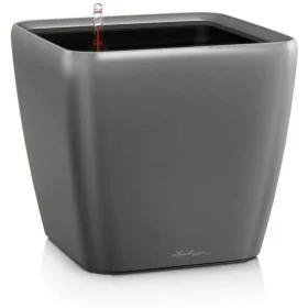 Plant pot Lechuza Ø 50 cm Plastic Rectangular by Lechuza, Flower Pots - Ref: S71000562, Price: 155,67 €, Discount: %