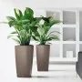 Plant pot Lechuza 50 x 50 x 95 cm Plastic Rectangular by Lechuza, Flower Pots - Ref: S71000565, Price: 285,71 €, Discount: %