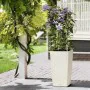 Plant pot Lechuza 40 x 40 x 75 cm White Black polypropylene by Lechuza, Flower Pots - Ref: S71000655, Price: 116,75 €, Discou...