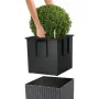 Plant pot Lechuza 50 x 50 cm Brown Black polypropylene Plastic by Lechuza, Flower Pots - Ref: S71000657, Price: 126,61 €, Dis...