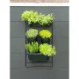 Blumentopf Nature Schwarz Metall rechteckig von Nature, Übertöpfe - Ref: S71001099, Preis: 57,21 €, Rabatt: %