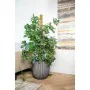 Plantador Capi Europe Antracite Plástico Redondo Ø 35 cm de Capi Europe, Vasos - Ref: S71007821, Preço: 63,37 €, Desconto: %