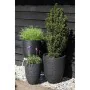 Planter Capi Europe Black Plastic Circular 34 x 34 x 46 cm by Capi Europe, Cachepots - Ref: S71007930, Price: 82,18 €, Discou...