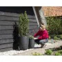 Planter Capi Europe Black Plastic Circular 34 x 34 x 46 cm by Capi Europe, Cachepots - Ref: S71007930, Price: 82,18 €, Discou...