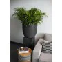 Cache-pot Capi Europe Nature Rib Noir Plastique de Capi Europe, Cache-pots - Réf : S71008838, Prix : 164,05 €, Remise : %