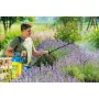 Pulvérisateur à pression pour jardin Gloria Hobby Exclusiv Plastique 3 BAR 5 L de Gloria, Pulvérisateurs - Réf : S7104034, Pr...