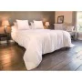 Remplissage de couette Blanreve 300 g/m² 240 x 260 cm de Blanreve, Couettes et housses de couette - Réf : S7105482, Prix : 65...