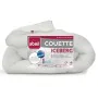 Remplissage de couette Abeil 200 g/m² 200 x 200 cm de Abeil, Couettes et housses de couette - Réf : S7105503, Prix : 40,34 €,...