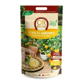 Potting compost OR BRUN OBRTCDAGR4 by OR BRUN, Soils - Ref: S7105866, Price: 25,63 €, Discount: %