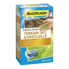 Seeds Algoflash SEMSOL1 by Algoflash, Vegetables - Ref: S7106004, Price: 33,30 €, Discount: %