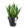 Vaso Elho 8403604042500 Antracite Ø 40 cm de Elho, Vasos para flores - Ref: S7106092, Preço: 62,97 €, Desconto: %