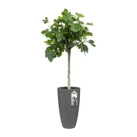 Blumentopf Elho 8400212542500 Anthrazit Kunststoff rund Ø 35 cm Ø 34,5 x 61,5 cm von Elho, Töpfe - Ref: S7106098, Preis: 92,3...