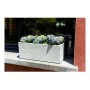 Pot EDA Blanc de EDA, Pots de fleurs - Réf : S7106124, Prix : 37,95 €, Remise : %